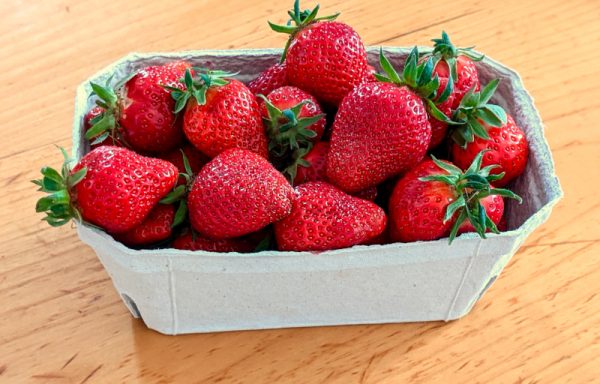 Erdbeeren