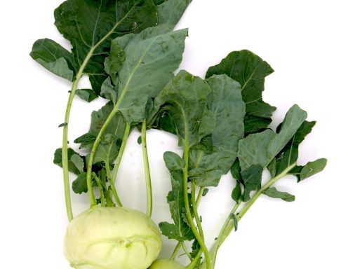 Kohlrabi