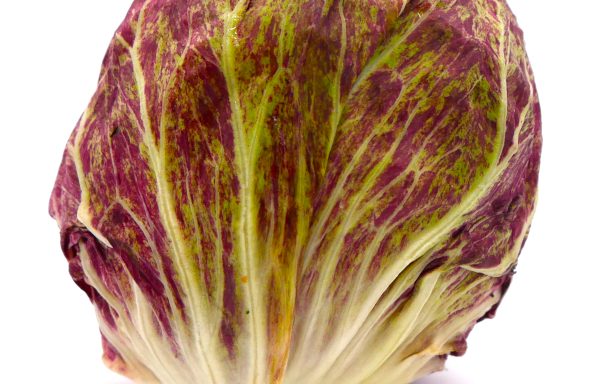 Radicchio