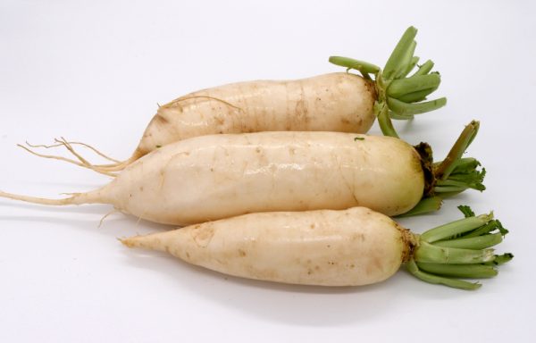 Rettich weiß („Bierradi“)
