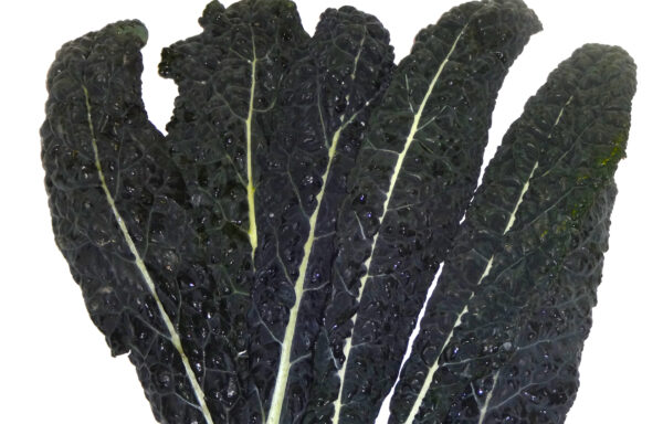 Schwarzkohl