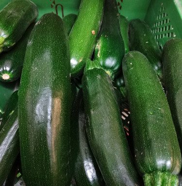 Zucchini